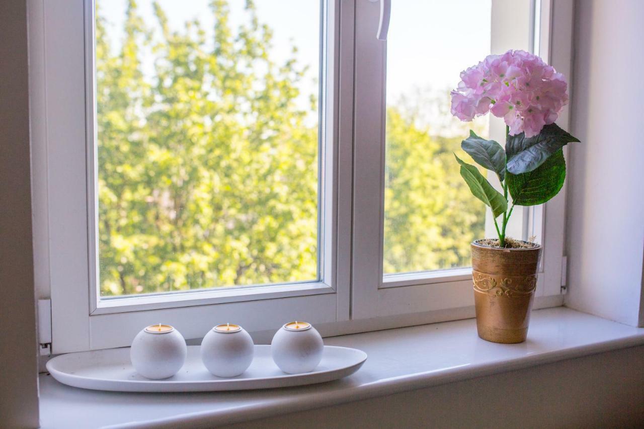 Sunhouse Apartment Stary Toruń Dış mekan fotoğraf